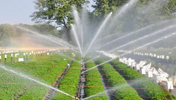 Thiết bị xử lý nước tưới cây trồng công nghệ Châu Âu cho năng suất cao