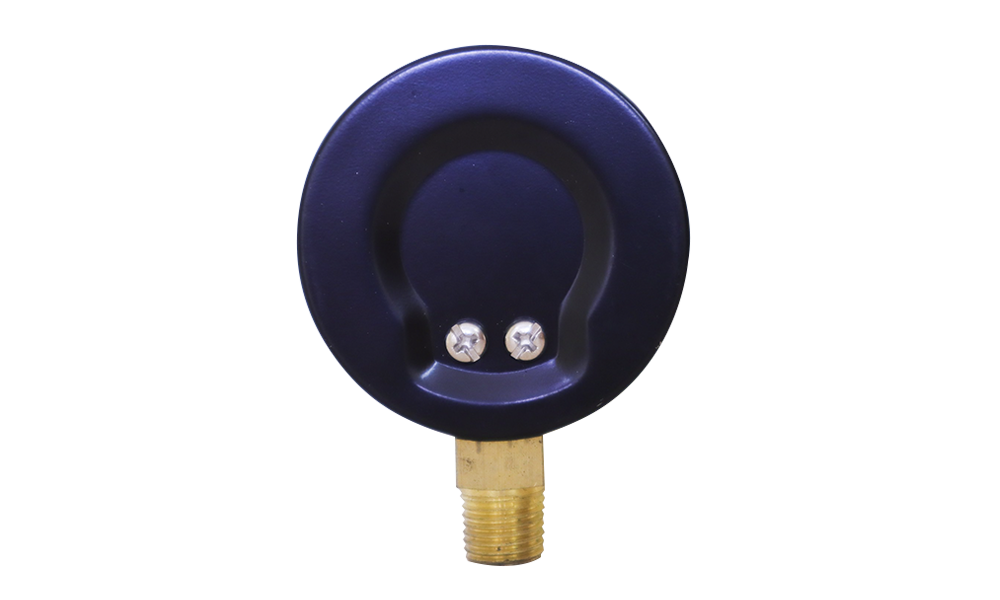 PA P100 Pressure Gauge -1 to 5 bar, 63 mm, Steel Case with Brass Connection CHN Version