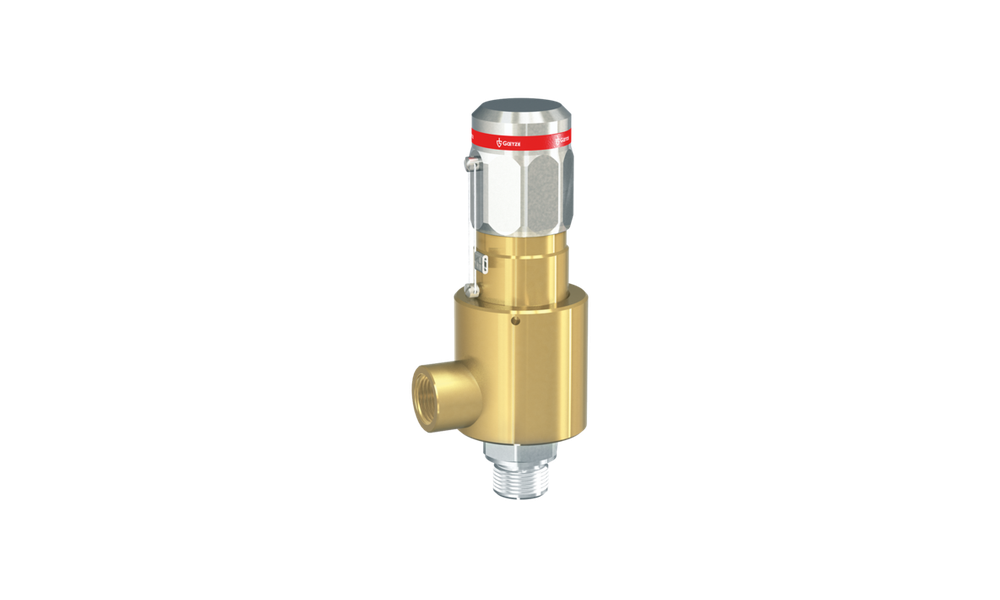 GOETZE Series 492GOX – Van an toàn inox áp suất cao cho oxy, nối ren