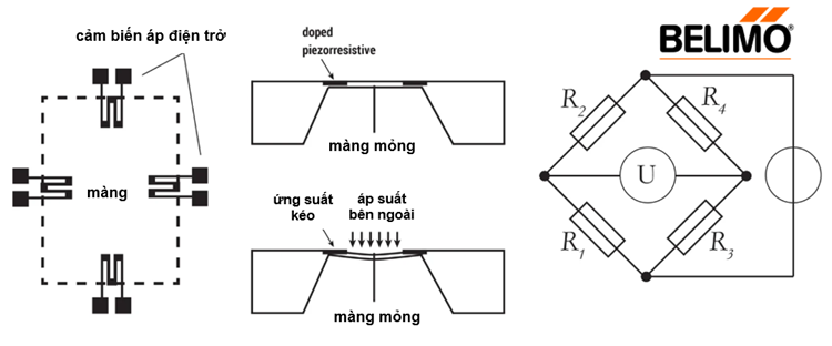 Hình 4. Biến công nghệ