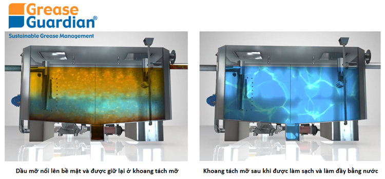 Mô phỏng bên trong máy tách mỡ tự động
