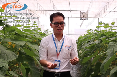 Hiệu quả sau khi lắp ActivFlo xử lý nước cứng, nước nhiễm canxi cho cây trồng