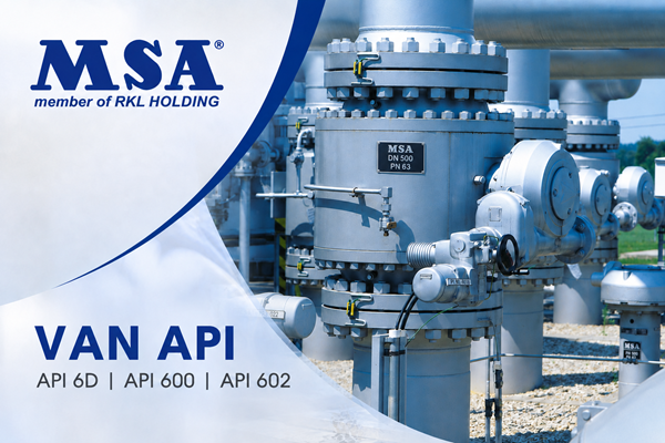 Van API là gì? Phân biệt API 6D, API 600 và API 602 trong van công nghiệp